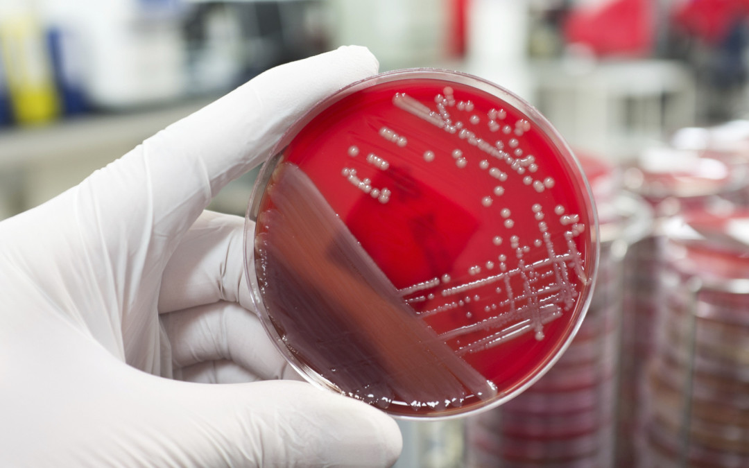 The Growing Problem of Antibiotic Resistant Infections